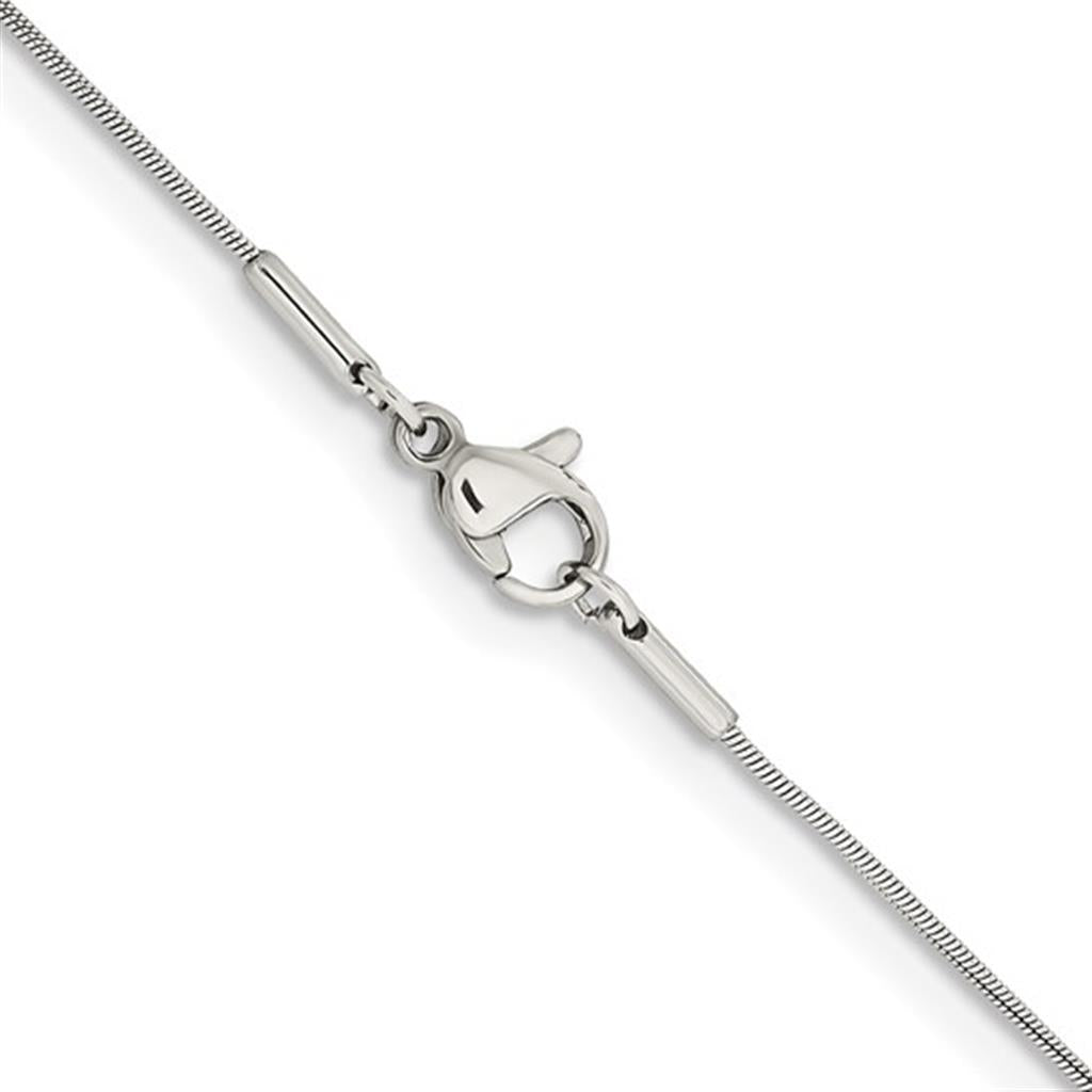 Stainless Steel Chain